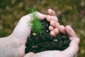 Image of hands holding a tiny plant in dirt the shape of a heart for Earth Day.